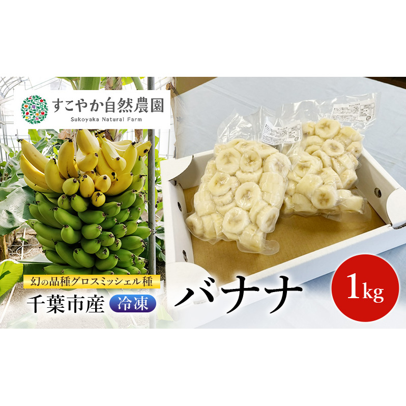 幻の品種 グロスミッシェル種 千葉市産 冷凍バナナ 1kg バナナ 果物 フルーツ 冷凍 千葉市千葉県千葉市17000果物・フルーツその他 果物・フルーツ