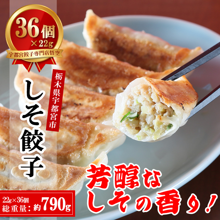 餃子専門店 宇都宮 悟空 しそ餃子 22g×36個入| 餃子 冷凍 ぎょうざ ギョーザ 紫蘇 シソ 肉たっぷり 肉多め 人気 名物 行列 国産野菜 国産豚肉 ジューシー スタミナ パリパリ もちもち グルメ