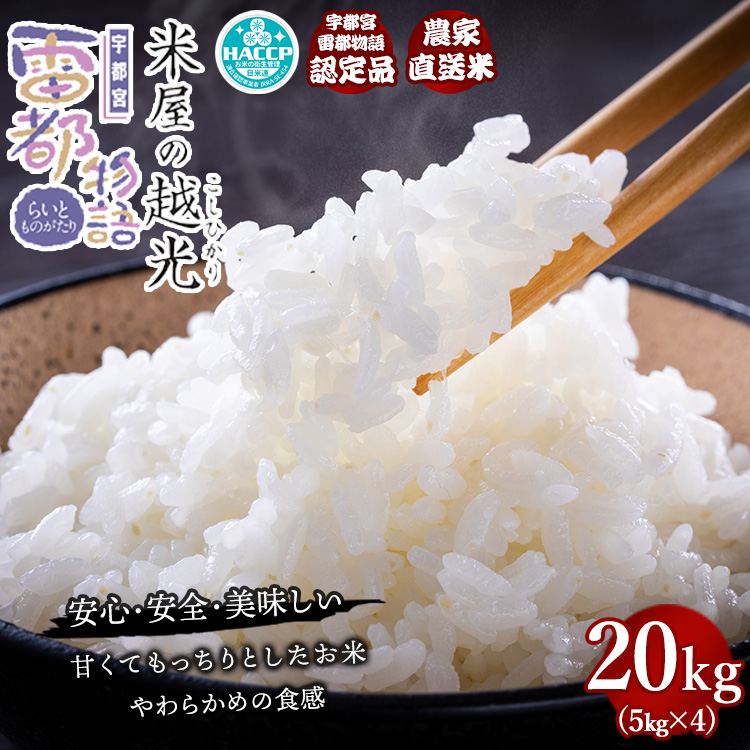Ȗ،YRVqJ uĉ̉zv20kgi5kg×4j Ȗ،Fs{s80000āEp