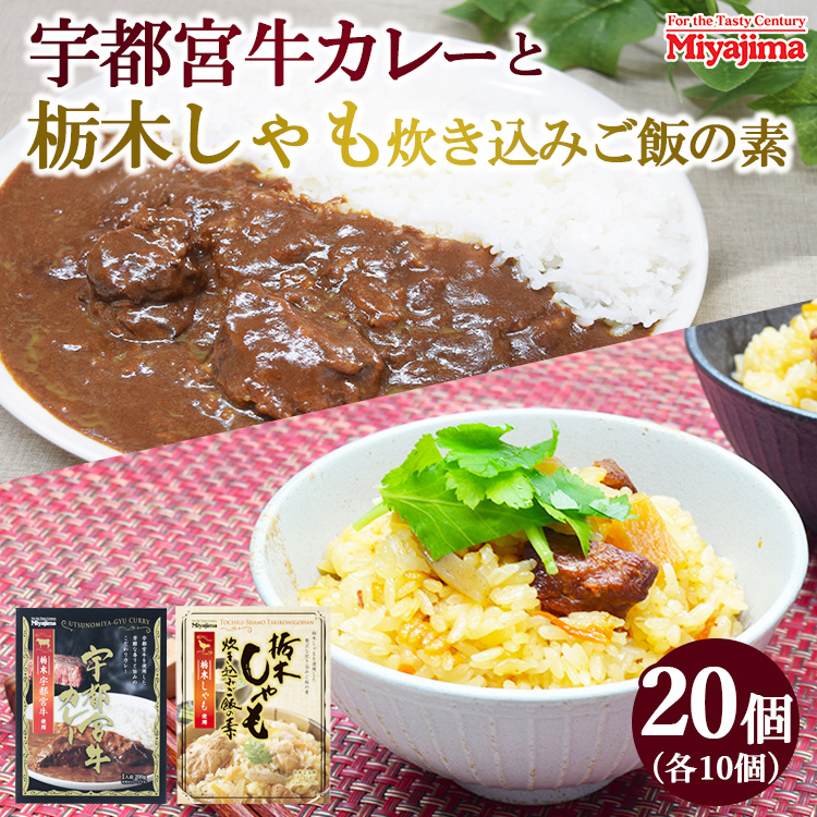 宇都宮牛カレー 200g×10個+栃木しゃも炊き込みご飯の素200g×10個セット栃木県宇都宮市16000鍋セット・総菜・加工食品カレー・シチュー