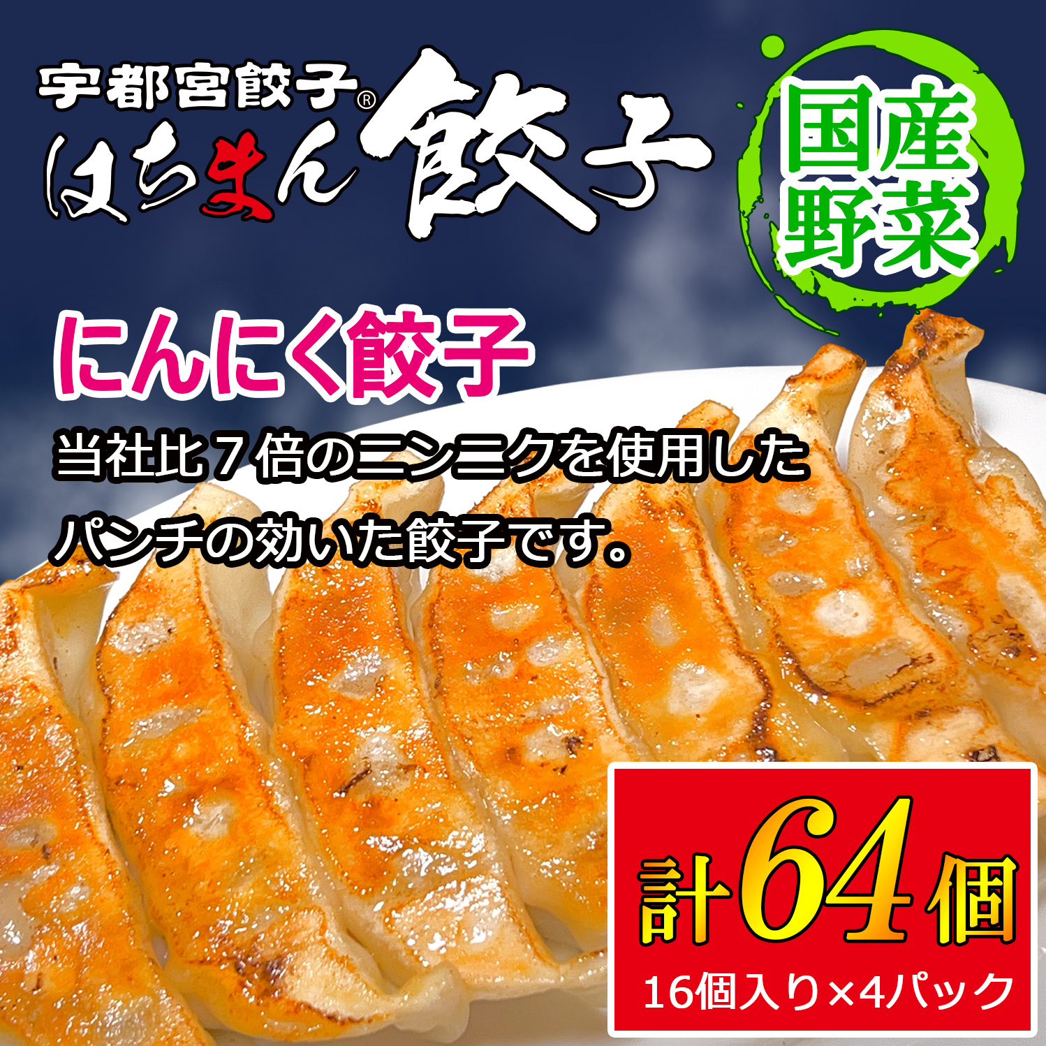宇都宮餃子 はちまん餃子 にんにく餃子 64個(16個入り×4パック/1個 22g) | 宇都宮餃子 国産野菜 グルメ 宇都宮市 にんにく ぎょうざ ギョーザ 野菜 冷凍食品 冷凍餃子 焼き餃子 水餃子栃木