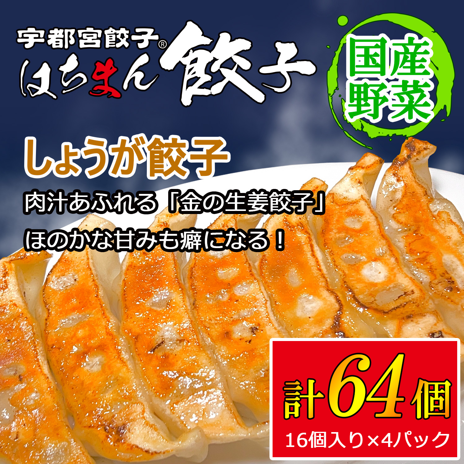 宇都宮餃子 はちまん餃子 しょうが餃子 64個 (16個入り×4パック/1個 22g) | 宇都宮餃子 国産野菜 グルメ 宇都宮市 しょうが ぎょうざ ギョーザ 野菜 冷凍食品 冷凍餃子 焼き餃子 水餃子栃木