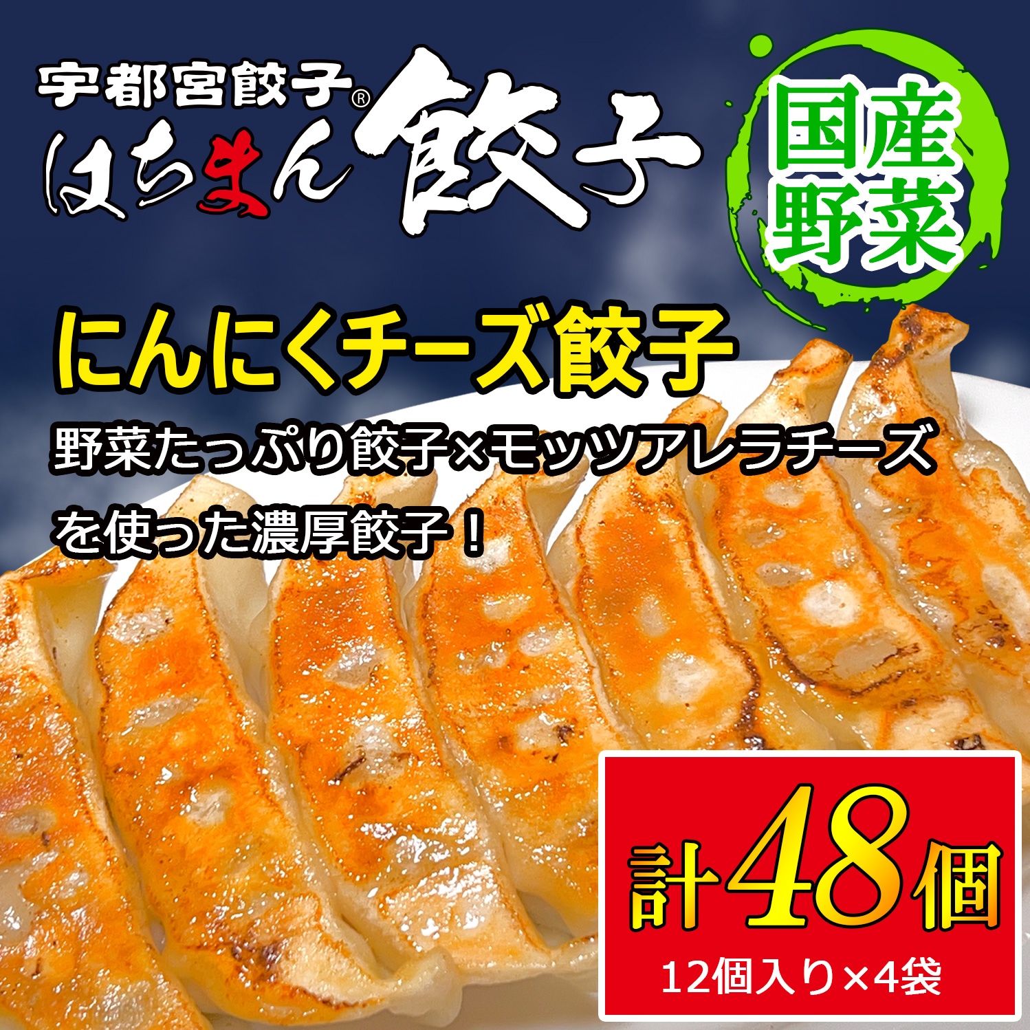 宇都宮餃子 はちまん餃子 にんにくチーズ餃子 48個(12個入り×4袋/1個 22g) | 宇都宮餃子 国産野菜 グルメ 宇都宮市 ぎょうざ ギョーザ 野菜 冷凍食品 冷凍餃子 焼き餃子 水餃子栃木県宇都