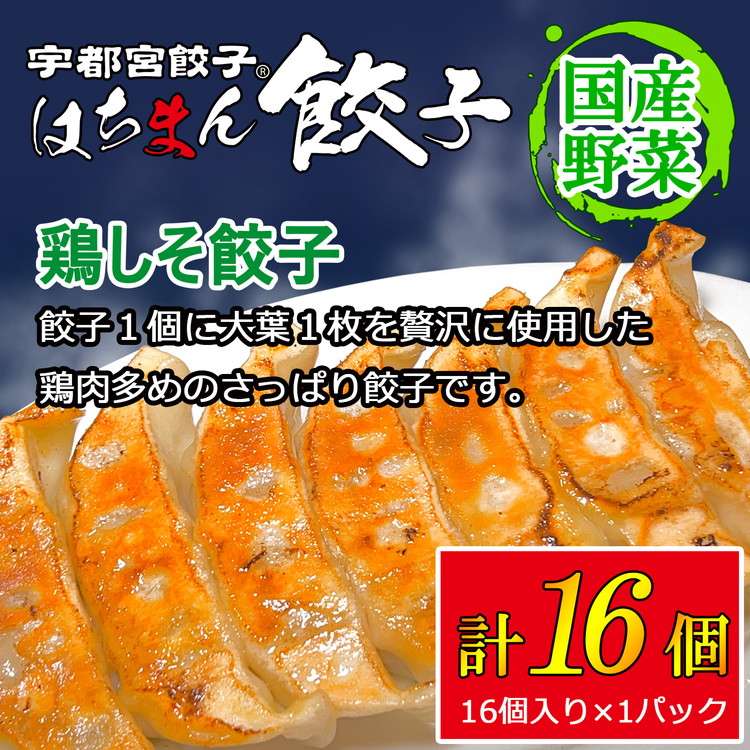 宇都宮餃子 はちまん餃子 鶏しそ餃子 16個 (16個入り×1パック/1個 22g) | 宇都宮餃子 国産野菜 グルメ 宇都宮市 餃子 冷凍 ぎょうざ ギョーザ 野菜 冷凍食品 冷凍餃子 焼き餃子 水餃子栃木