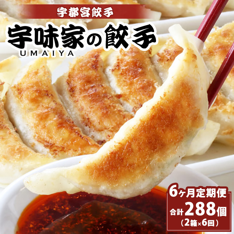 y6zFs{Lq FƂ̂傤@(Ⓚ)@[20g×24 2×6]Ȗ،Fs{s60000ZbgE؁EHHi