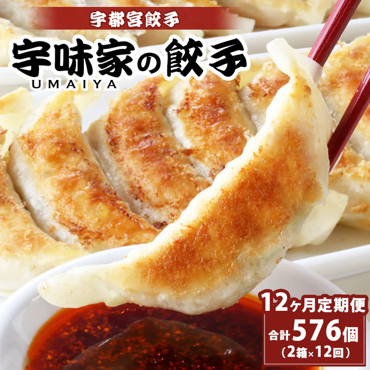 y12zFs{Lq FƂ̂傤@(Ⓚ)@[20g×24 2×12]Ȗ،Fs{s120000ZbgE؁EHHi