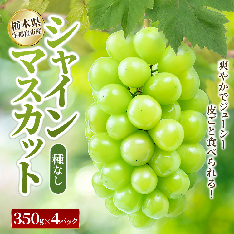 シャインマスカット 350g×4パック|ぶどう 葡萄 果物 くだもの フルーツ 旬 数量限定 産地直送 栃木県 宇都宮市 ※2025年8月下旬〜9月下旬頃に順次発送予定栃木県宇都宮市18000果物・フルーツ