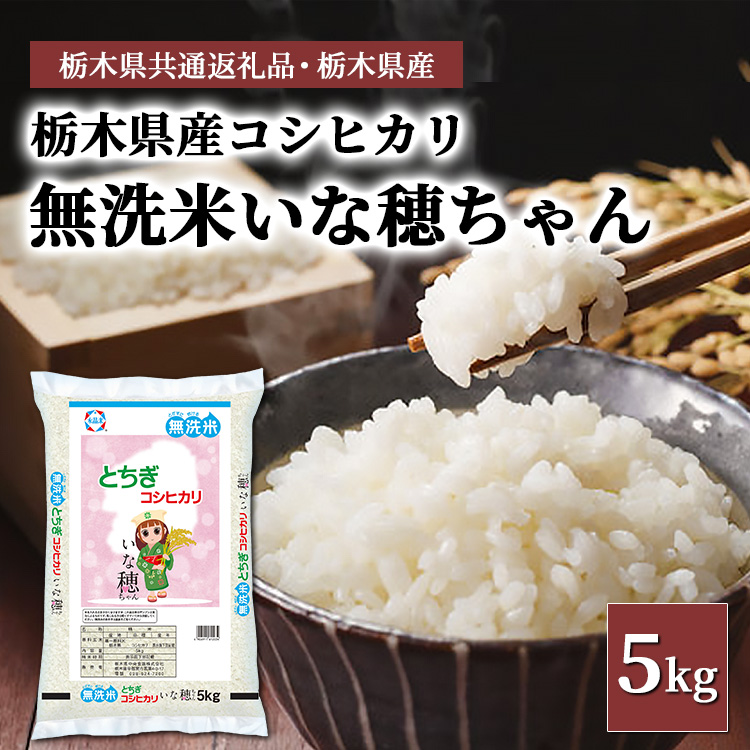 【無洗米】栃木県産コシヒカリ いな穂ちゃん 5kg【栃木県共通返礼品・栃木県産】◆栃木県宇都宮市21000米・パン白米