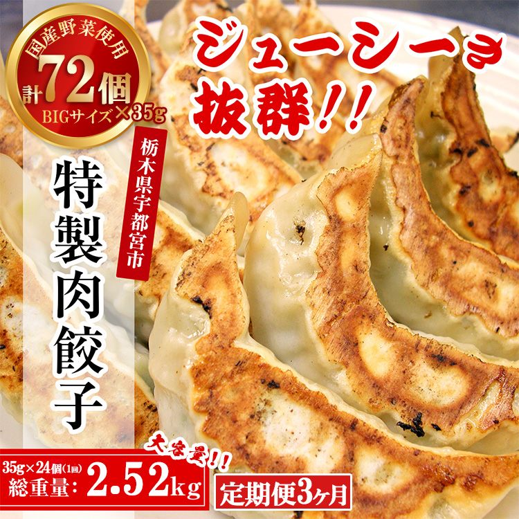 【3ヶ月定期便】テレビで紹介!餃子専門店 宇都宮 悟空 特製肉餃子24個入×3ヶ月 | 餃子 冷凍 ぎょうざ ギョーザ 大容量 肉たっぷり 肉多め 大きい 人気 名物 行列 国産野菜 国産豚肉 ジュー