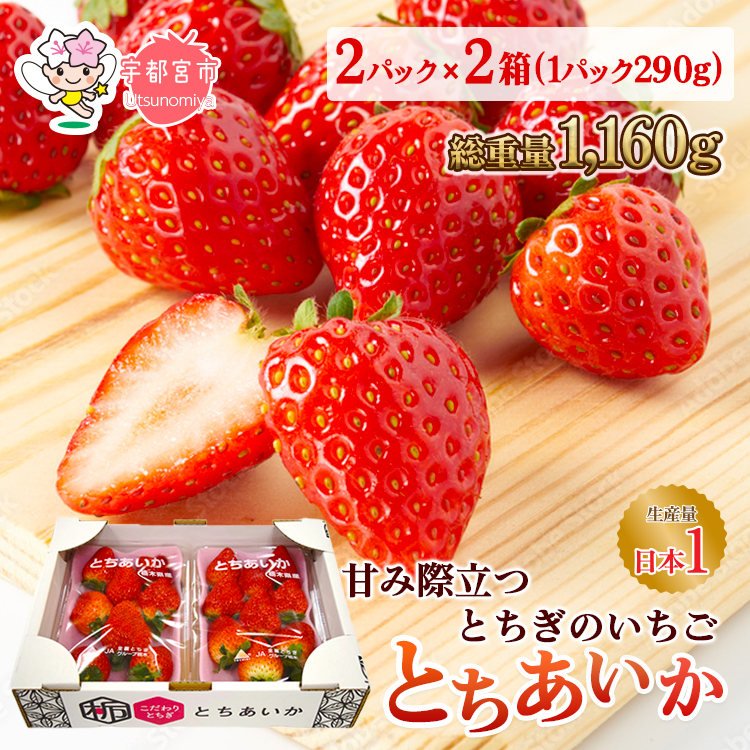 【先行予約】とちあいか 2箱 1.16kg(1箱(2パック入)×2) いちご 大粒 | ギフト 贈答 栃木県 宇都宮市 果物 フルーツ 苺 イチゴ 人気 ※2025年1月上旬〜3月上旬頃に順次発送予定 ※北海道・沖