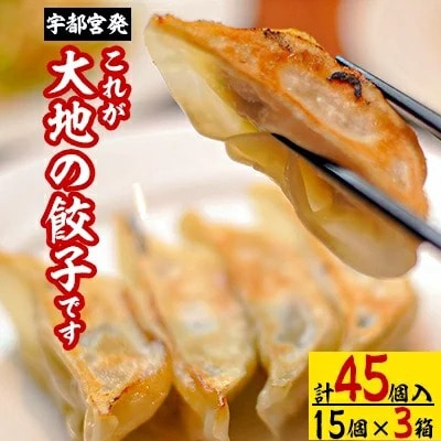 宇都宮発 これが大地の餃子です 計45個入り(1箱15個入り×3箱)栃木県宇都宮市17000鍋セット・総菜・加工食品総菜