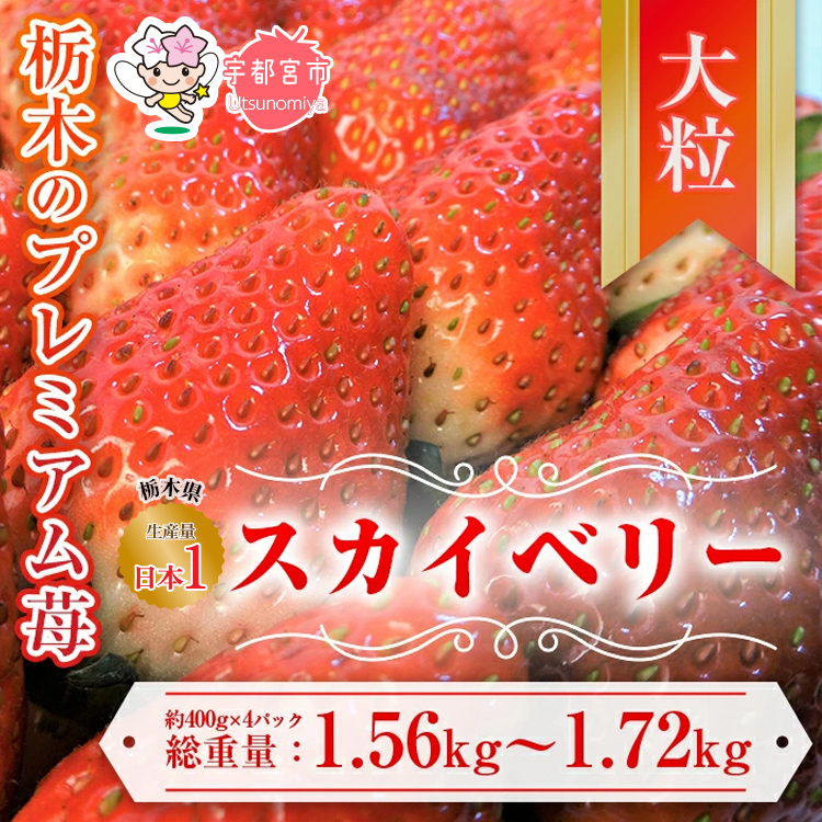 【先行予約】スカイベリー 約390g〜430g×4パック | いちご 栃木 スカイベリー 大粒 大きい いちご 苺 イチゴ 栃木 果物 甘い 評判 鮮度 抜群 好評 人気 アレンジ アフター対応あり※離島への配