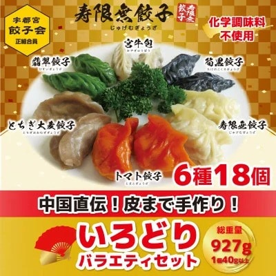 宇都宮餃子 寿限無 餃子のいろどりバラエティセット(6種×各3個・計18個入り)栃木県宇都宮市9000鍋セット・総菜・加工食品総菜