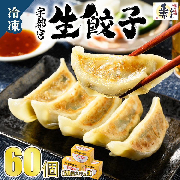 餃子20個入り×3箱(60個) | ふるさと納税 餃子 冷凍 ギョウザ 冷凍食品 惣菜 お取り寄せ グルメ  宇都宮 栃木県栃木県宇都宮市13000鍋セット・総菜・加工食品総菜