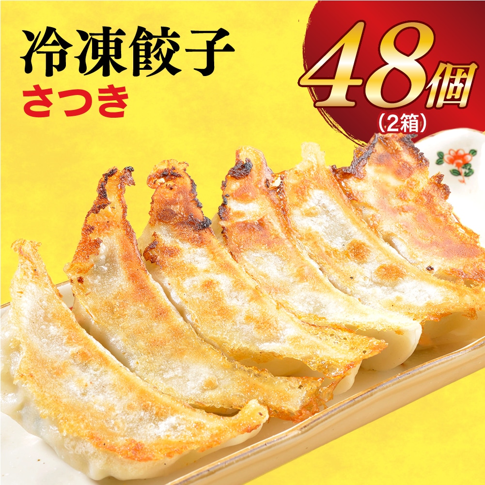 【さつき】 餃子24個入り×2箱【配送不可地域:離島】栃木県宇都宮市12000鍋セット・総菜・加工食品総菜