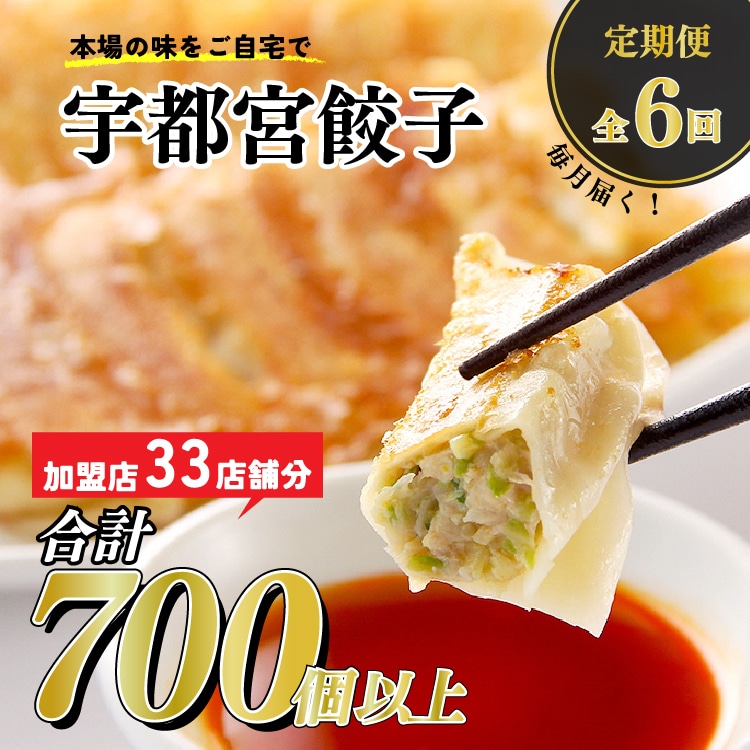 【6ヶ月定期便】宇都宮餃子 32店舗定期便 計700個以上 | ぎょうざ 冷凍餃子 冷凍食品 惣菜 栃木県 宇都宮市 ※着日指定不可栃木県宇都宮市202000鍋セット・総菜・加工食品総菜
