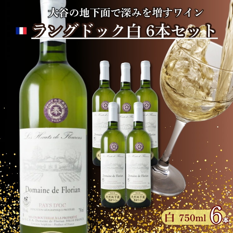 大谷の天然地下蔵で深みを増すワイン ラングドック白 6本セット【白ワイン お酒 ギフト 栃木県 宇都宮市 】 ※配送不可地域:離島栃木県宇都宮市64000酒・アルコールワイン