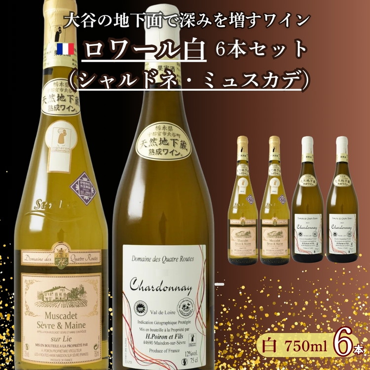 大谷の天然地下蔵で深みを増すワイン ロワール(シャルドネ・ミュスカデ)白 6本セット【 白ワイン 飲み比べ ギフト 栃木県 宇都宮市 】※配送不可地域:離島栃木県宇都宮市107000酒・アルコ