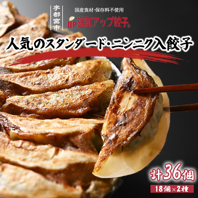 宇都宮餃子 運気アップ餃子  2種類味比べ(合計36個)【餃子 ぎょうざ ギョウザ 食べ比べセット 冷凍餃子 冷凍食品 惣菜 栃木県 宇都宮市 】※配送不可地域:離島栃木県宇都宮市8000鍋セット・
