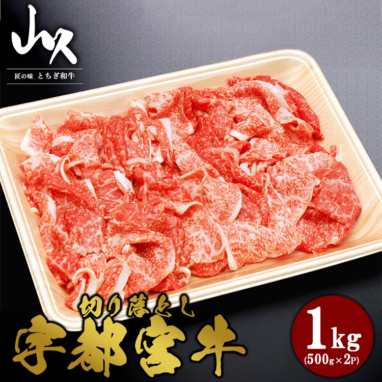 Fs{ ؂藎Ƃ v1kgi500g×2PjȖ،Fs{s41000