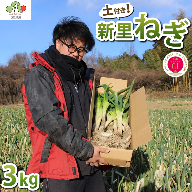 【GI産品】『新里ねぎ』 GIマーク取得のブランド伝統野菜 土付き 3kg栃木県宇都宮市10000野菜・きのこ玉ねぎ・ねぎ