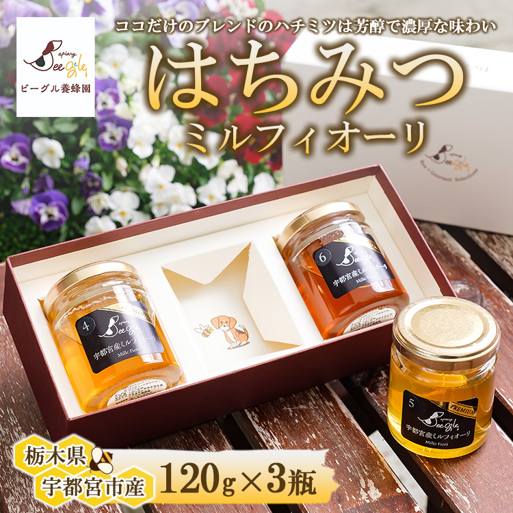 ビーグル養蜂園 はちみつ 3個セットギフトセレクション|宇都宮産ミルフィオーリ Mille Fiori 大谷産 ハチミツ 国産 非加熱 純粋 蜂蜜 無添加 ギフト プレゼント 贈答品 ※離島への配送不可
