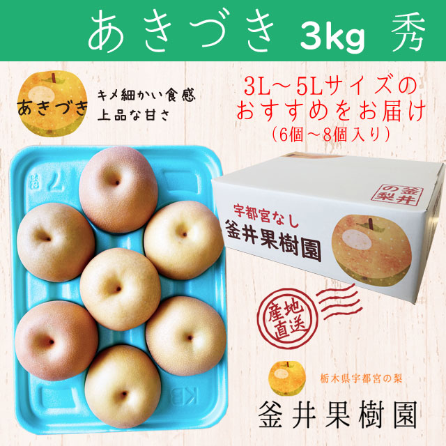 Â 3kg 6`8 b Ȗ،Y Fs{s  Ȃ Â t[c ʕ ւ̔zs 2025N9{菇\Ȗ،Fs{s13000ʕEt[c񂲁E
