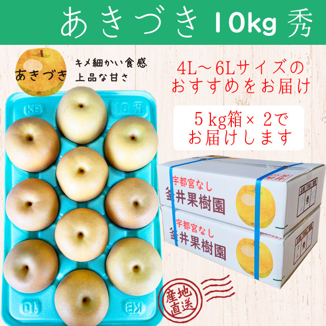 Â 10kg 18`24 b Ȗ،Y Fs{s  Ȃ Â t[c ʕ ւ̔zs 2025N9{菇\Ȗ،Fs{s41000ʕEt[c񂲁E