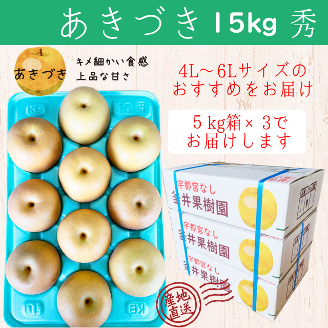 Â 15kg 27`36 b Ȗ،Y Fs{s  Ȃ Â t[c ʕ ւ̔zs 2025N9{菇\Ȗ،Fs{s61000ʕEt[c񂲁E