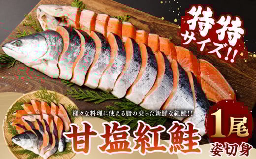 ÉgPpؐg@TCY@ 4506579{錧}s22000ECY̑ ECY