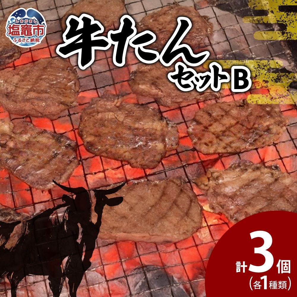 牛たんセットB 【04203-0548】宮城県塩竈市22000肉牛肉