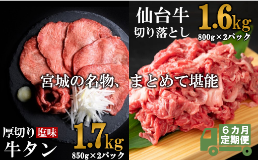ցESUA  ̋{錧\Zbg 3.3kg^v19.8kg@ 5535833{錧}s480000