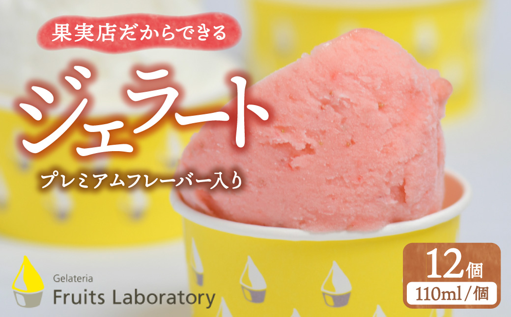 IWiWF[gPQJbviv~At[o[j  yGelateria Fruits laboratory z  gf00004{錧}s28000َqEXC[cACXEWF[g