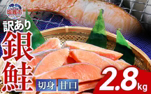 訳あり  銀鮭 切身 甘口 ( 不揃い ) 約2.8kg 鮭 冷凍 サケ ワケアリ ワケあり わけあり カマ尻尾込み ss00004宮城県塩竈市25000魚介・海産物