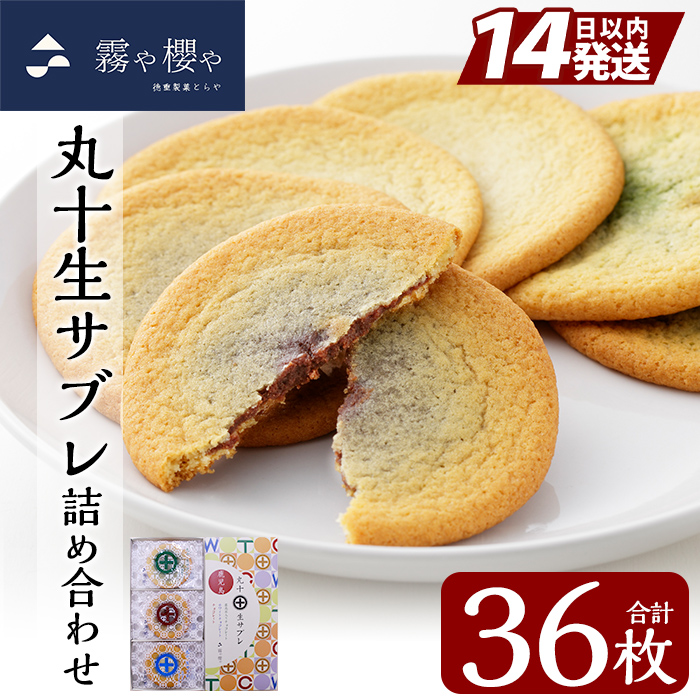 C-086-A 丸十生サブレ詰め合わせ(12枚入×3箱 計36枚)【徳重製菓とらや】霧島市 生サブレ サブレ しっとり なめらか マイルド お菓子 焼菓子 おやつ お土産 贈り物 手土産 チョコレート ホワイ