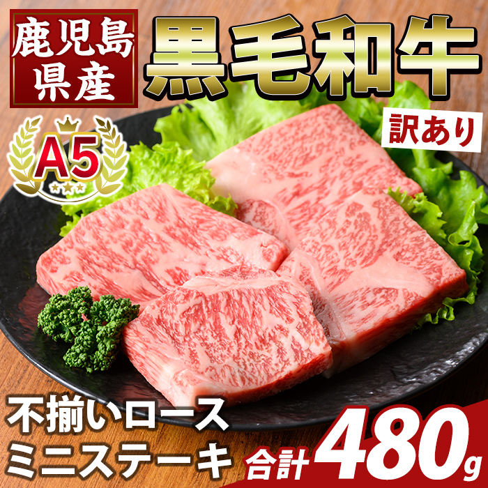 K-479-B 󂠂聄YA5јas[X~jXe[L(v480g) yӂ邳ƎYoU[zs  Y Y Ԑg s PA [X Xe[L  