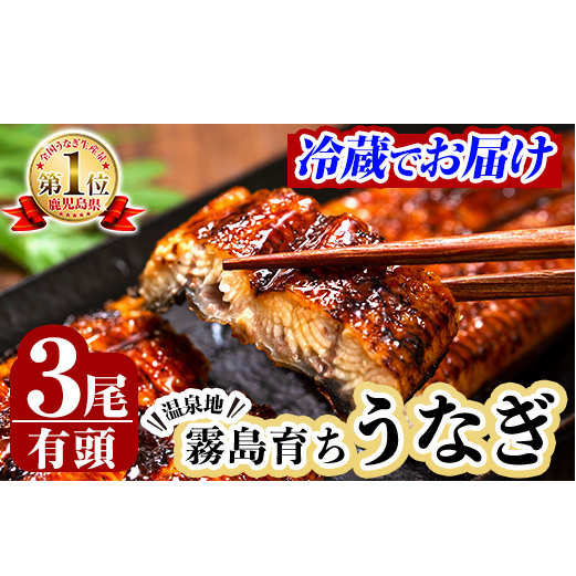 B-128-RZ <冷蔵でお届け>霧島市育ちのあの「うなぎ」150〜170g×3尾【田代水産】霧島市 鰻 蒲焼 国産鹿児島県霧島市25000魚介・海産物うなぎ