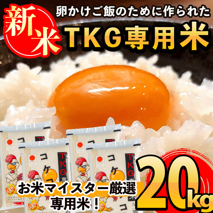 D-052 《令和7年産新米 先行予約受付中!2025年11月以降順次発送予定》日本初!卵かけご飯専用米!コケコッコ(TKG専用米)計20kg(5kg×4パック)【山口米店】お米 精米 白米 米 お米 こめ コメ鹿児島