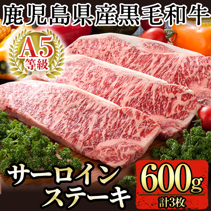 C-079 鹿児島県産黒毛和牛サーロインステーキ3枚 計600g(A-5等級)【九面屋】霧島市 国産 牛肉 A5鹿児島県霧島市30000肉牛肉