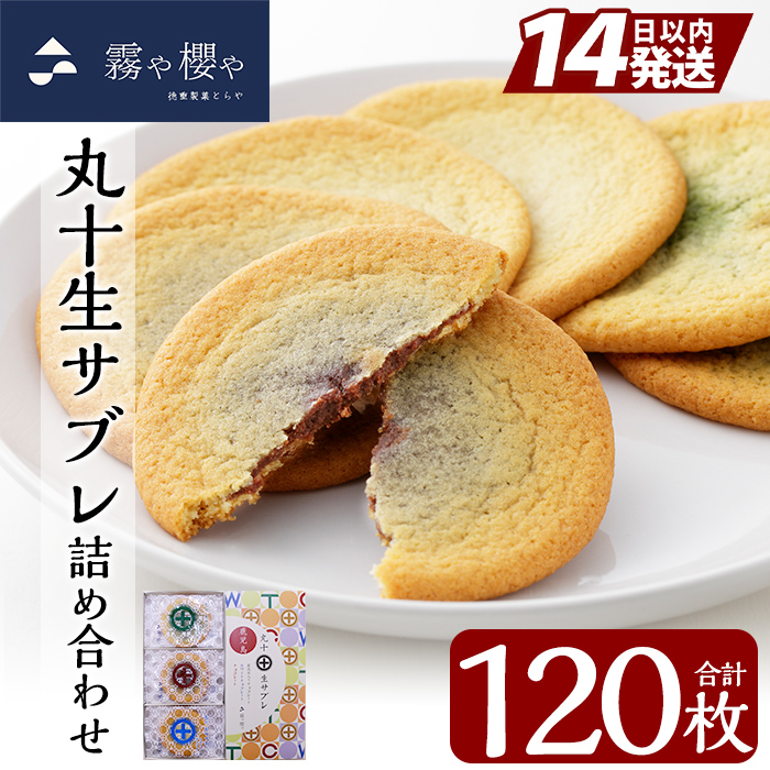 C-086 丸十生サブレ詰め合わせ(12枚入×10箱 計120枚)【徳重製菓とらや】霧島市 生サブレ サブレ しっとり なめらか マイルド お菓子 焼菓子 おやつ お土産 贈り物 手土産 チョコレート ホワイ