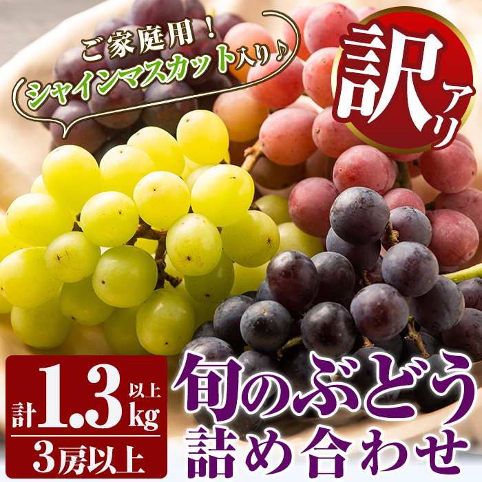 A0-248 <期間限定!2025年8月下旬〜10月末までの間に発送予定>《訳あり・数量限定》シャインマスカット入り旬のぶどう・ご家庭用詰め合わせ(計1.3kg以上・3房以上)【二月田ぶどう園】鹿児