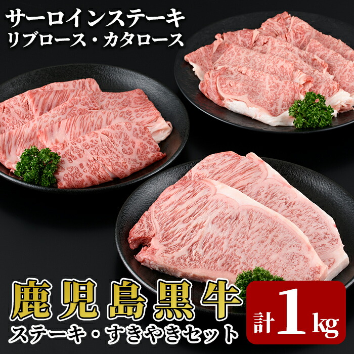 E0-014 T[CXe[LE₫Zbg(v1kg)E-301yJAzs50000