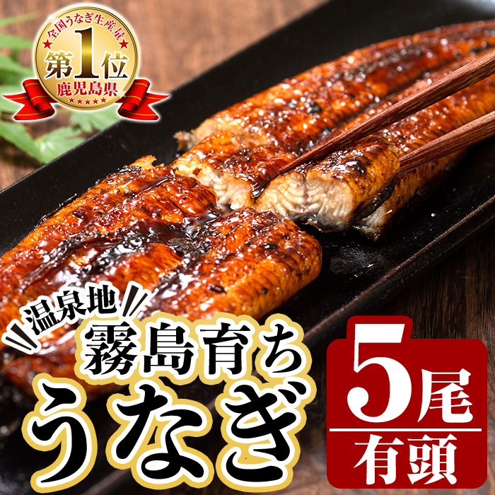 C-077-RT <冷凍でお届け>霧島市育ちのあの「うなぎ」120〜130g×5尾【田代水産】霧島市 鰻 ウナギ 蒲焼き 蒲焼 国産鹿児島県霧島市30000魚介・海産物
