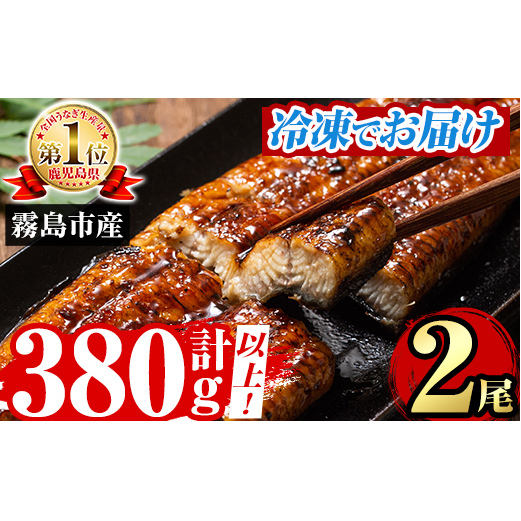 A5-034-RT <冷凍でお届け> 特別サイズ!霧島産うなぎ蒲焼き計380g以上(190g超×2尾)【田代水産】霧島市 国産 鹿児島県産 うなぎ 鰻 ウナギ 高級 蒲焼き 蒲焼 かばやき タレ鹿児島県霧島市20000魚