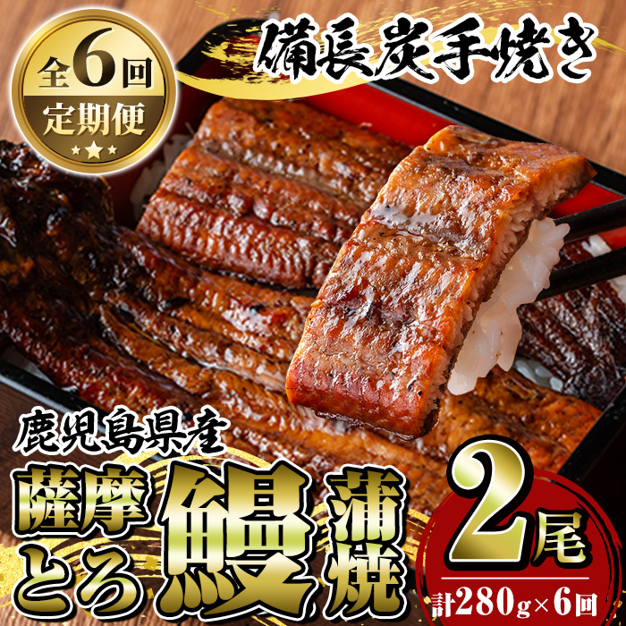 K-042 【定期便6回】薩摩とろ鰻蒲焼(計280g:140g×2尾)×6回 【株式会社志】うなぎ ウナギ 蒲焼き 蒲焼 かばやき タレ 鹿児島 国産 冷凍鹿児島県霧島市120000魚介・海産物うなぎ