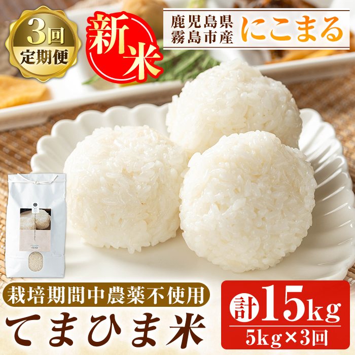 K-198-E 【3回定期便】<令和7年産新米 先行予約受付中!2025年12月以降順次発送予定>てまひま米(品種:にこまる)(計15kg:5kg×3回)【末蜜農園】霧島市 お米 精米 白米 米 こめ コメ ご飯 ごはん