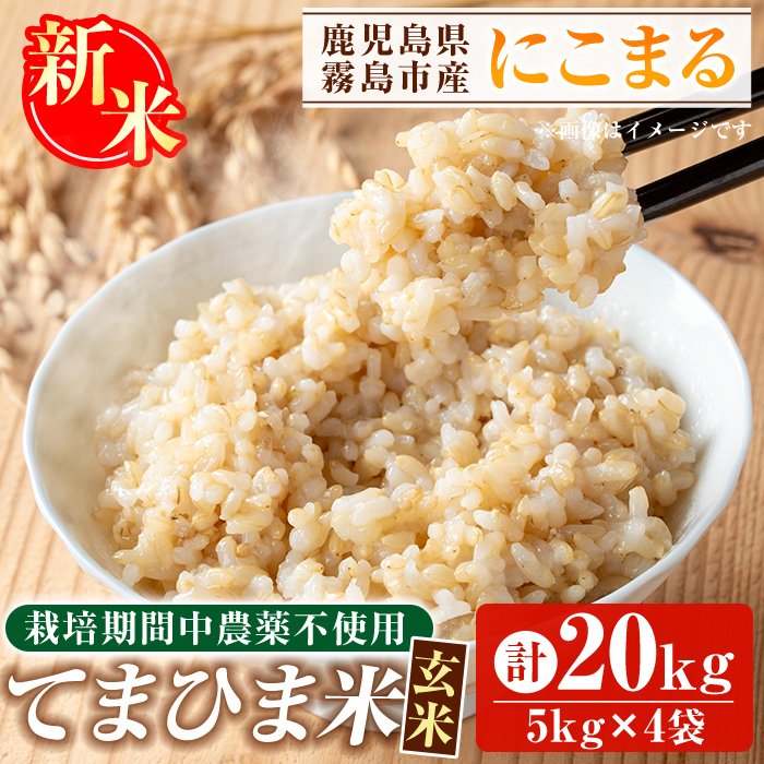K-391-D <令和7年産新米 先行予約受付中!2025年12月以降順次発送予定>てまひま米・玄米(品種:にこまる)(計20kg)【末蜜農園】霧島市 お米 玄米 米 こめ コメ ご飯 ごはん 定期便 栽培期間中農