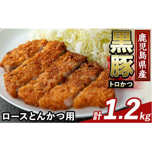 K-373-B ܖ킢 Ƃ񂩂p[XEg(v1.2kg)yӂ邳ƎYoU[zs [X gJc ؃Jc geL ؓ Y Y   s2000