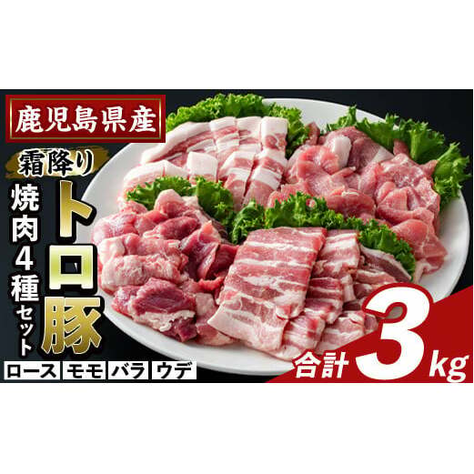K-379-C 鹿児島県産霜降りトロ豚 焼肉用バラエティセット(合計3kg)【ふるさと産直バザール】霧島市 ロース バラ ウデ モモ 焼き肉 ヤキニク 豚肉 国産 鹿児島県産 肉 精肉 小分け セット 食べ