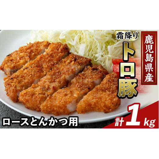 K-382-B Y~g [XƂ񂩂p(v1kg)yӂ邳ƎYoU[zs [X ؃Jc gJc ؓ Y Y   s17000ؓ